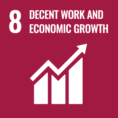 8 DECENT WORK AND ECONOMIC GROWTH