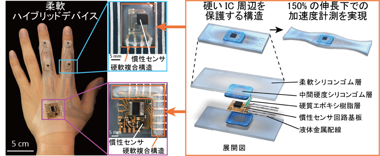 ストレッチャブルデバイスとAIを統合した動作認識スマートシステムを開発 ～柔軟エレクトロニクスと先進情報技術による新たな可能性～